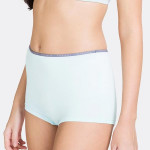 Women Antibacterial Quick Dry Boyshort Briefs